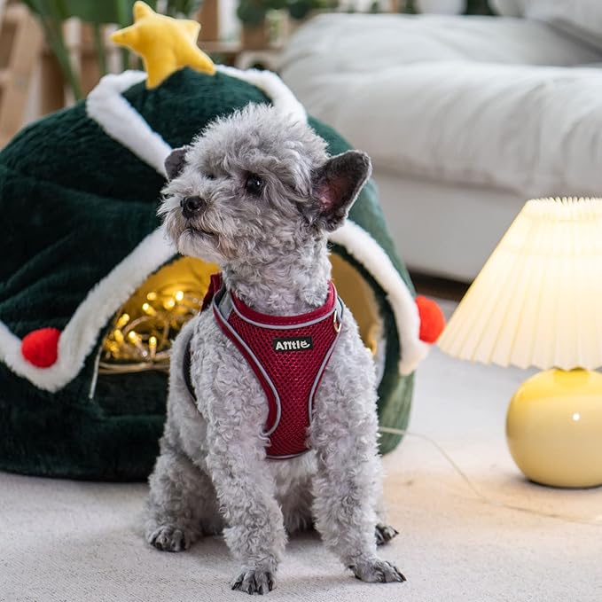 AIITLE No Pull Dog Harness and Leash Set, Step in Adjustable Dog Harness with Padded Vest for All Weather, Dog Leash with Soft Padded Handle, Easy to Put on Small and Medium Dogs Burgundy S