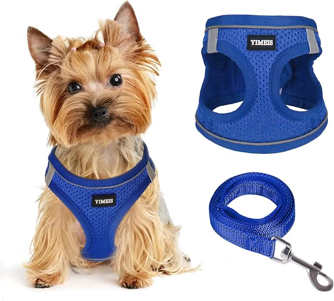 Dog Harness for Small Dogs and Leash Set, Honeycomb Grid, Reflective Lightweight Harness & Anti-Twist Pet Lead (Multi Color, Size: XS-S-M) (S, Sapphire Blue)