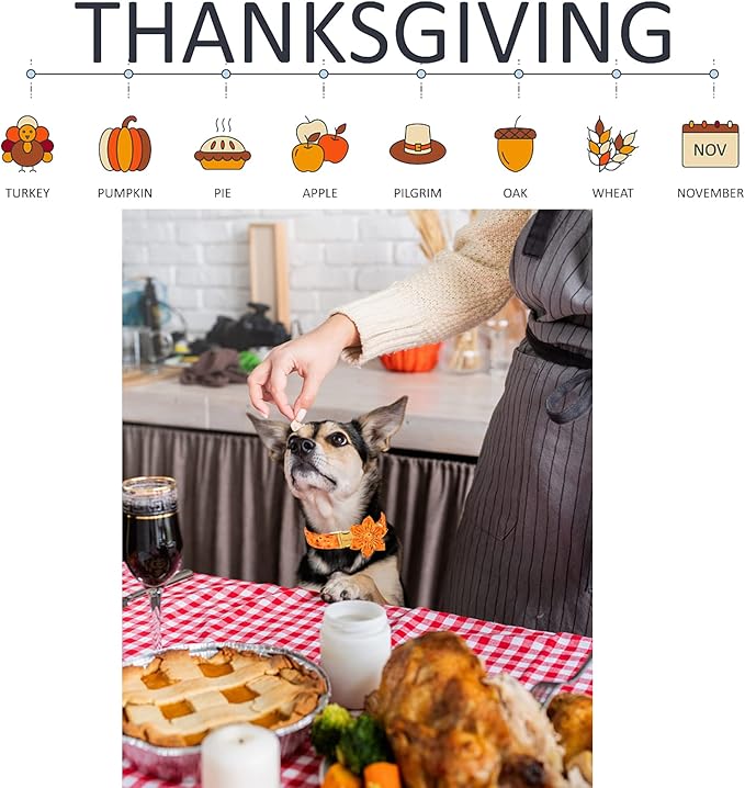 Unique style paws Halloween& Dog Collar with Flower Tie Pumpkin Cotton Collar Adjustable Puppy Collar Best Thanksgiving Gift for Small Medium Large Dogs-Turkey & Pumpkin Theme-L