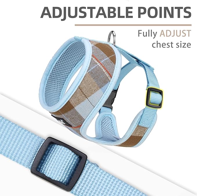 PUPTECK Soft Mesh Dog Harness and Leash Set Pet Puppy Cat Comfort Padded Vest No Pull Harnesses, Blue&Brown, L