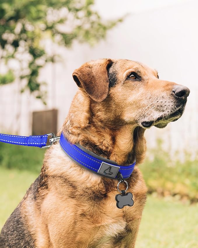 Joytale Dog Collar for Extra Large Dogs, Neoprene Padded and Adjustable, Reflective Wide Heavy Duty Pet Collars with Durable Metal Belt Buckle for Walking, Navy Blue, XL