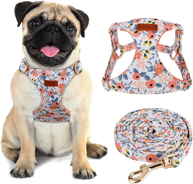 CHEDE No Pull Floral Pattern Dog Harness- Lightweight, Soft, Adjustable Small Harness and Leash Set, Suitable for Puppy Small and Medium-Sized Dog (S, Orange Rose)