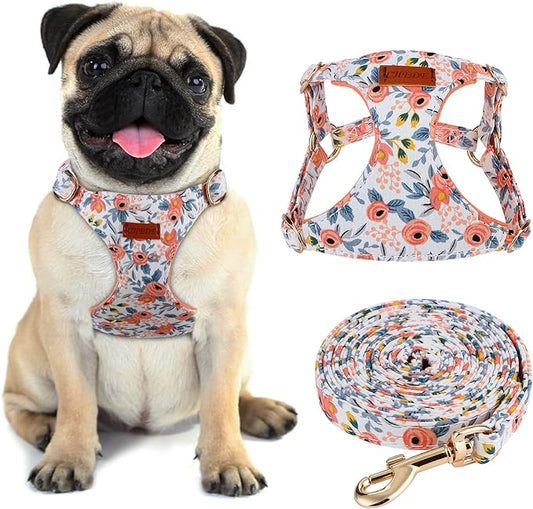 CHEDE No Pull Floral Pattern Dog Harness- Lightweight, Soft, Adjustable Small Harness and Leash Set, Suitable for Puppy Small and Medium-Sized Dog (M, Orange Rose)