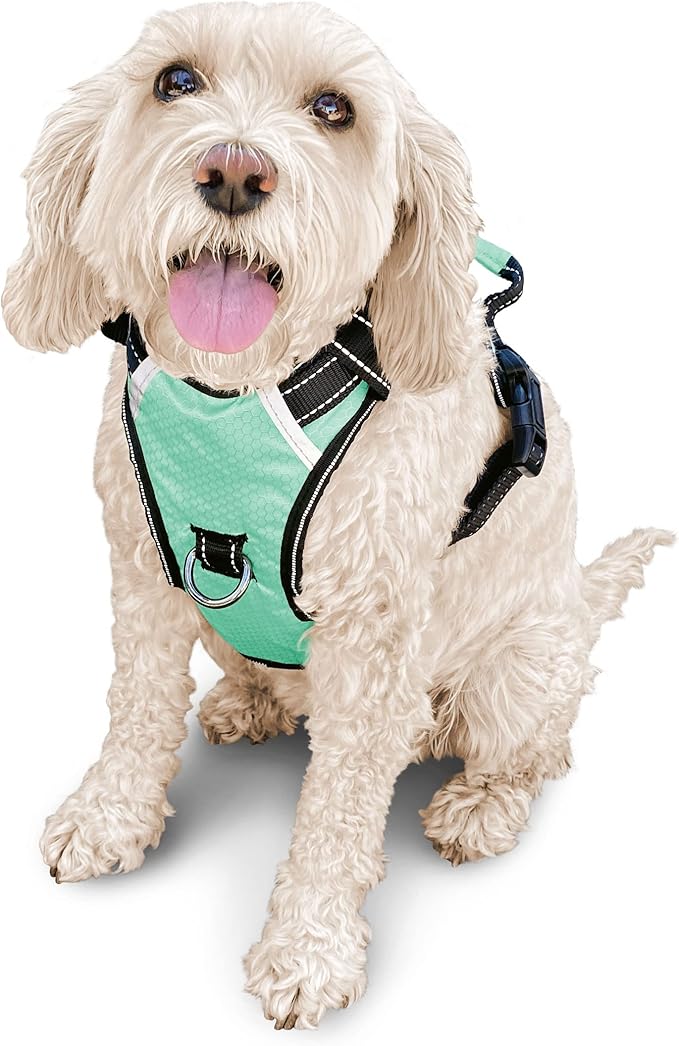 No Pull Dog Harness, Reflective Walking Dog Harness with Easy Control Handle and Front & Back Clips,Adjustable Breathable Soft Padded Dog Vest Harness for Large Medium Small Dogs,Green,M