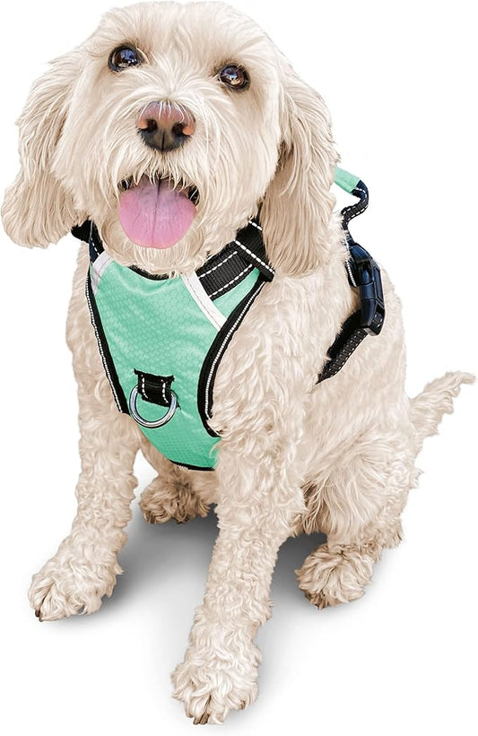 No Pull Dog Harness, Reflective Walking Dog Harness with Easy Control Handle and Front & Back Clips,Adjustable Breathable Soft Padded Dog Vest Harness for Large Medium Small Dogs,Green,M
