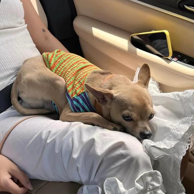 Little Beast Dog Clothes - Pet Clothes for Large, Medium and Small Dogs (Dog Shirts Come in Multiple Colors and Styles) - Size: XX-Small Dogs, Green/Orange