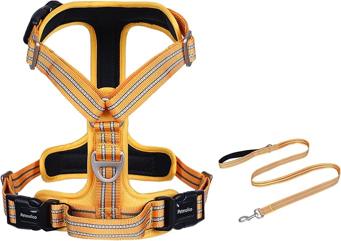 Petmolico No Pull Dog Harness Leash Set, Front and Back Metal Clips Easy Walk Dog Harness with Handle for Training Outdoor Adventures, Yellow Medium