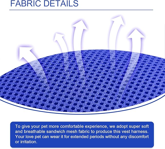 Cat Harness and Leash Set: Escape Proof Vest with Lead for Large Cat Small Dog Puppy Walking, Soft Jacket with Reflective Strips, L Blue