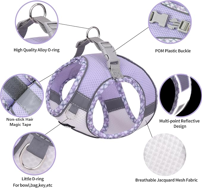 AIITLE XXS Dog Harness & Leash Set - Breathable Reflective No-Choke Small Dog Harness for Teacup Puppies, Indoor/Outdoor Use - Boston Terrier, Maltese, Chihuahua (Purple-White, XXS)