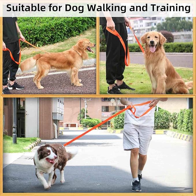 AMAGOOD 6 FT Puppy/ Dog Leash, Strong and Durable Traditional Style Leash with Easy to Use Collar Hook, Great for Small, Medium and Large Dogs (1" x 6 ft, Black and Orange (2-Pack))
