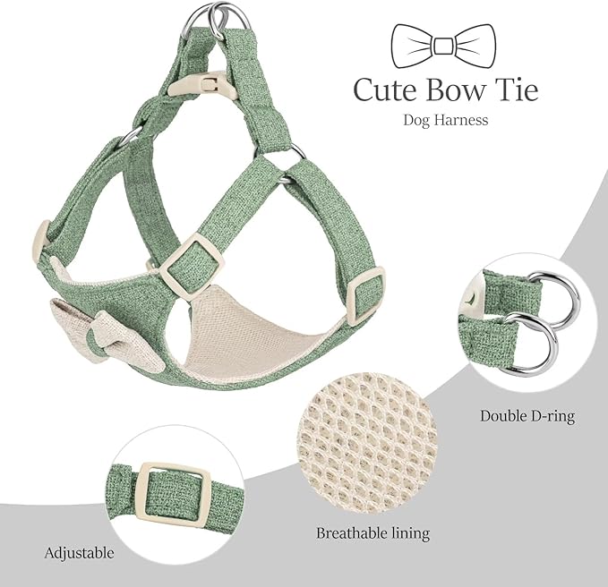 Didog Small Dog Harness Collar and Leash Set, Adjustable Lightweight Vest Harness with Cotton Soft Mesh for Small Dogs, Cats (Green, S)