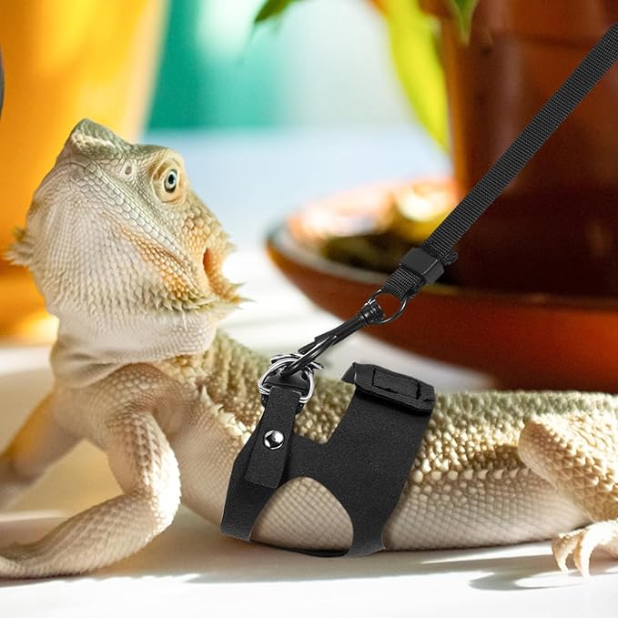 3 Pack Bearded Dragon Harness and Leash Set, 3 Sizes Adjustable Cool Orange Reptile Harness Leash, Adjustable Soft Leather Lizard Harnesss with Retractable Leashes for Reptile Squirrel Rat
