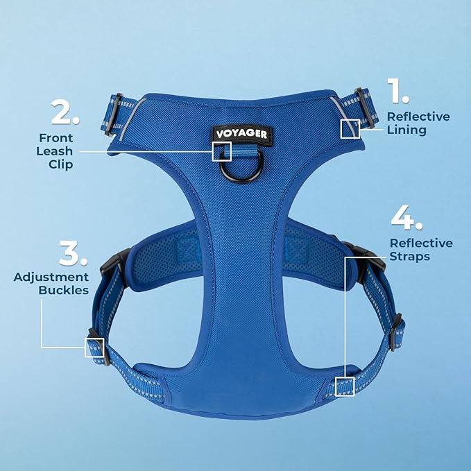 No Pull Dog Harness for Large Dogs, Dual Leash Attachments, Adjustable Soft but Strong Pet Harness with 3M Reflective Technology, (Royal Blue Lattice Nylon), XL (Chest: 28-37")