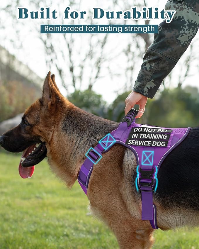 Reflective Service Dog in Training Vest Harness for Extra Large Dogs, Adjustable Heavy Duty Padded Purple Dog Harness, with Front Clip and Metal Buckles Do Not Pet for Training, Hiking
