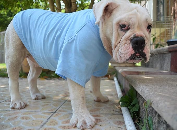 Lovelonglong Bulldog Clothes Dog Clothing Blank T-Shirt Tee Shirts for French Bulldog English Bulldog American Pit Bull Pugs 100% Cotton Skin Care Light-Blue B-L