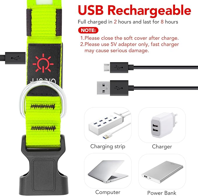 Vizpet LED Dog Collar, Light Up Dog Collar Adjustable USB Rechargeable Super Bright Safety Light Glowing Collars for Dog(Small,Green)