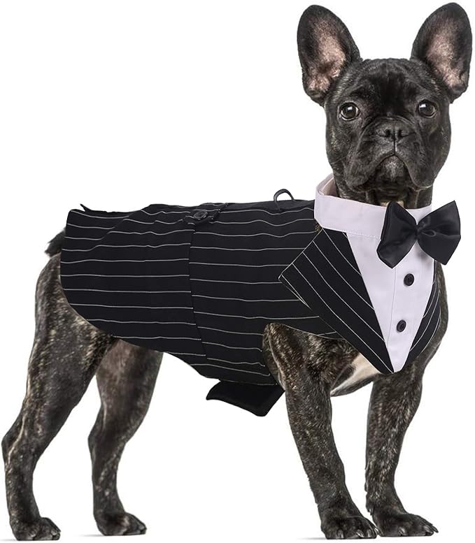 QBLEEV Tuxedo for Large Dogs, Suit and Bandana Set, Wedding Outfit With Bow Tie, Formal Tux Costume for Halloween Christmas Birthday Party Cosplay, Stripe L