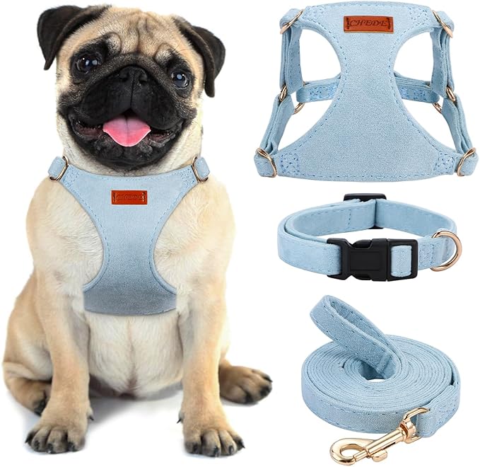 No Pull Dog Harness- Lightweight, Soft, Adjustable Small Harness Collar and Leash Set, Suitable for Cats Puppy Small and Medium-Sized Dog Outdoor Training and Running (Blue, S)