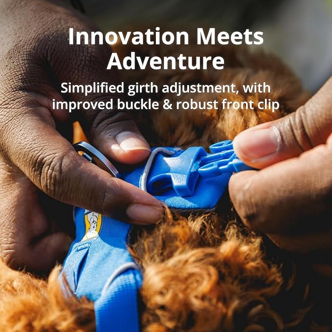 Ruffwear, Front Range Dog Harness, Reflective Soft Padded Everyday Harness with Dual Leash Clips, Adjustable and Lightweight Fit for Training or Walking for All Dogs, Blue Pool, Medium