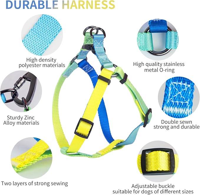AIITLE No Pull Dog Harness & Leash & Collar - Adjustable Basic Collar with A Heavy Duty Leash - Super Sturdy Buckle and D Ring - Training Running for Large Dogs, Blue Gradient L