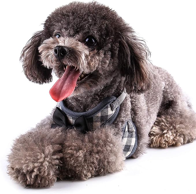 Rypet Small Dog Harness and Leash Set - No Pull Pet Harness with Soft Mesh Nylon Vest for Small Dogs and Cats Gray L