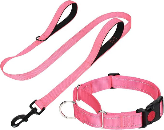 FunTags Reflective Martingale Collar for Dogs, Quick Release Buckle, 5FT Double Handle Dog Leash Padded, Dog Collar and Leash Set, Adjustable for Large Dogs (BabyPink, L)