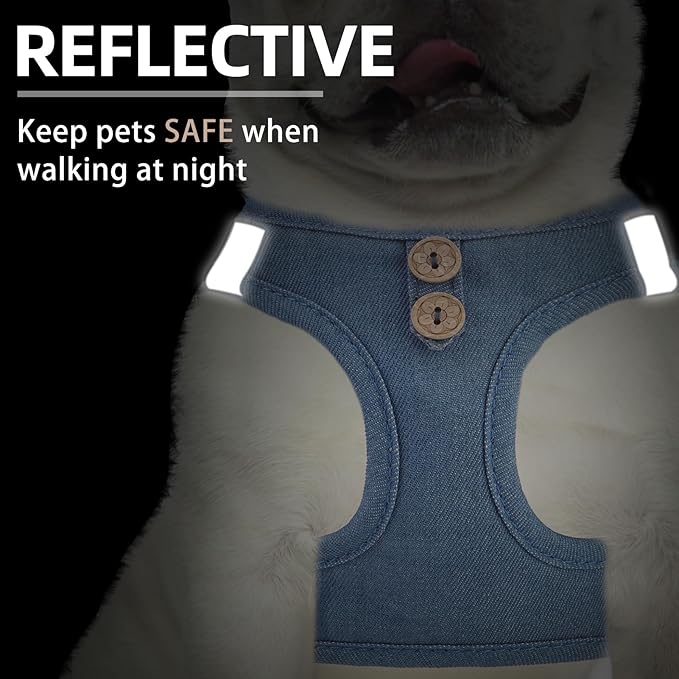 PUPTECK Dog Harness and Leash Set for Small Medium Dogs No Pull Step-in Soft Mesh Puppy Cat Vest Harnesses Reflective at Night, Denim Steelblue M