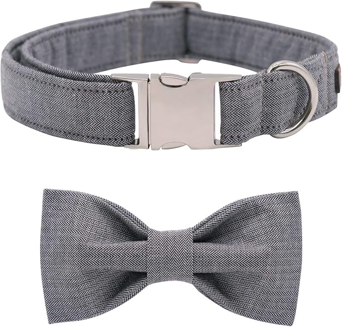 Lionet Paws Dog Collar with Bowtie, Durable Adjustable and Comfortable Collar for X-Small Dogs and Cats, Neck 8-12in