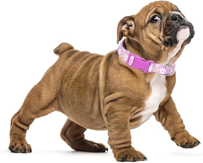 Girl Dog Collar with Purple Floral Patterns, Adjustable Cute Soft Pet Collar with Quick Release Buckle for Small Medium Large XL Dogs (Purple Flower M)