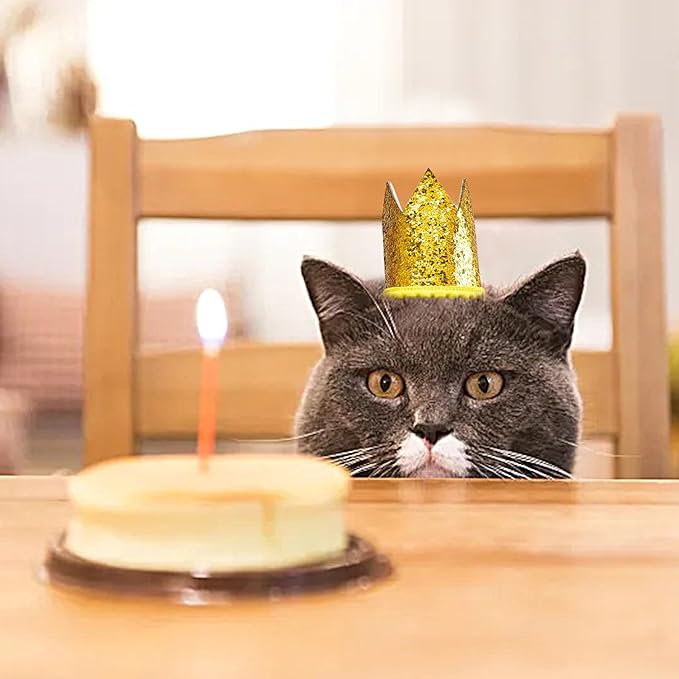 PET SHOW 10 Pack Mini Small Dog Crown Hat Dog Birthday Party Hats Adjustable Headband Hats Cat Rabbit Hats for Holiday Wedding Puppies Kittens Costume Accessories