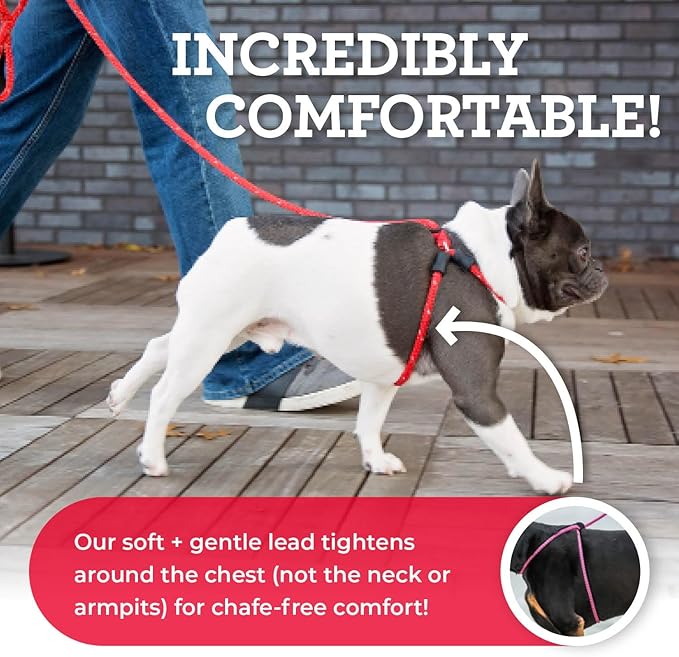 Harness Lead No Pull Dog Harness and Leash Set, Anti Pull Dog Harness, One-Piece Cushioned Rope Safely Prevents Escaping and Pulling *New Insert is Removable (Extra Large, Red)