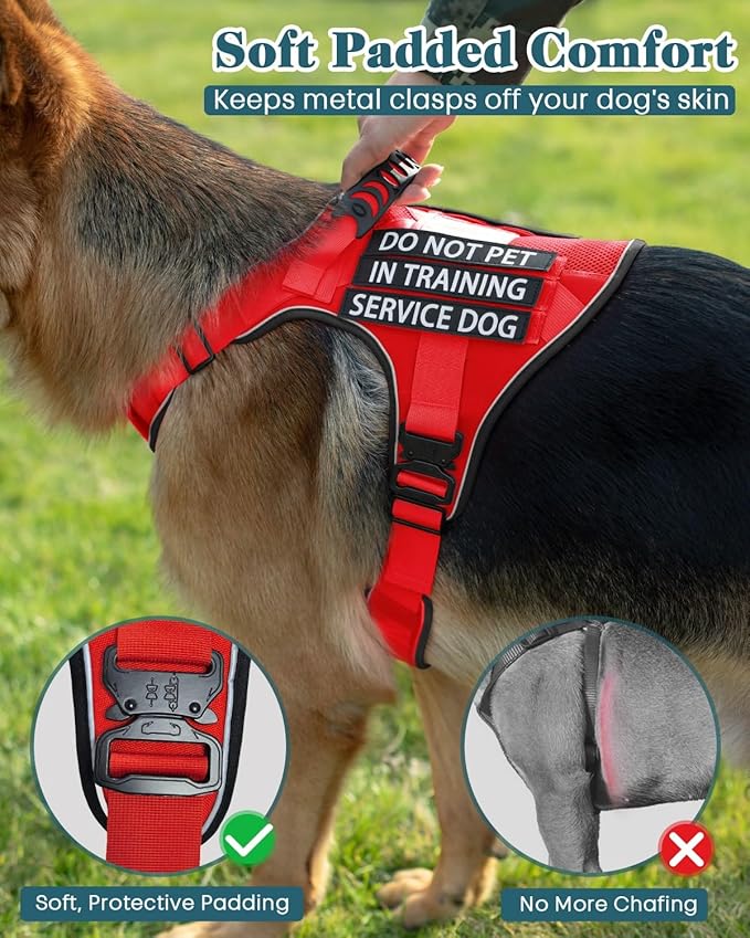 Reflective Red Service Dog in Training Vest Harness Leash Set for Medium Dogs, Adjustable Heavy Duty Padded Dog Harness, with Front Clip and Metal Buckles Do Not Pet for Training, Hiking
