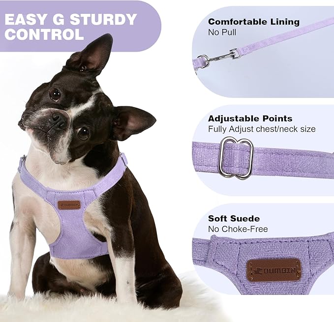 Dog Harness and Leash Set, XXS No Pull Adjustable Puppy Harness with Multifunction Purple Dog Leash and Collar, Soft No Choke Escape Proof Pet Harness Vest for Small Dogs and Cats (Purple, XXS)