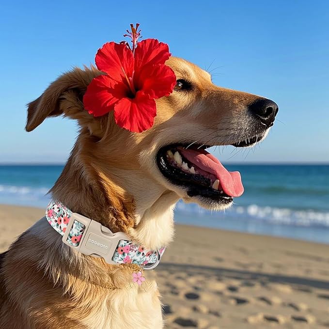 DOGWONG Flower Cotton Dog Collar, Spring Summer Cute Pink Dog Collar Durable Soft Fabric Pet Dog Collars Female Girl Necklace for Small Medium Large Dogs