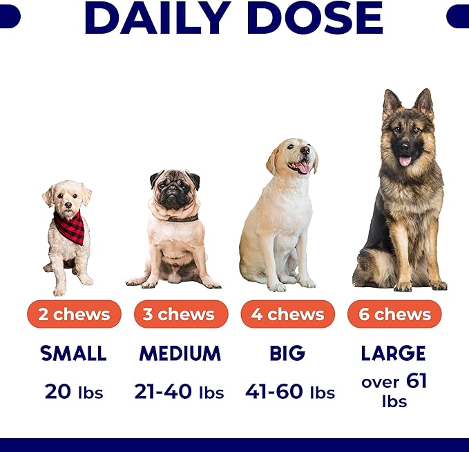 Omega 3 Fish Oil for Dogs (360Ct) - Skin&Coat Chews - Dry & Itchy Skin Relief + Allergy Support - Shiny Coat - EPA&DHA Fatty Acids - Salmon Oil Chews Promotes Heart, Hip & Joint Support