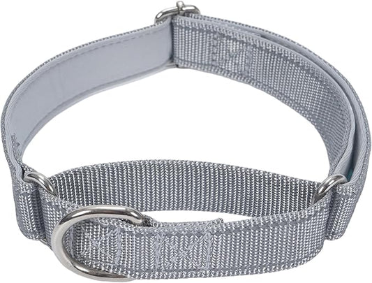 SGODA Martingale Dog Collar, Reflective Nylon Padded Dog Training Collars for Medium Dogs, Grey M
