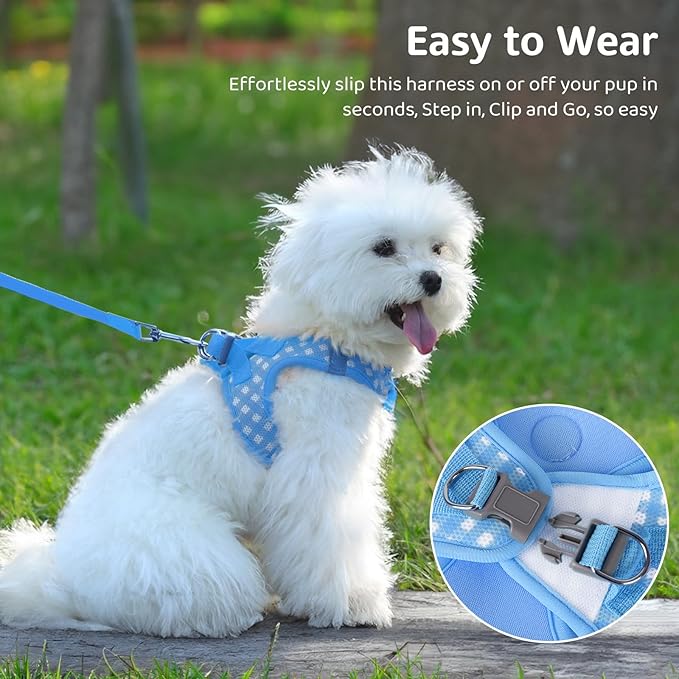 Gyuzh Dog Harness and Leash Set,Soft Mesh Breathable Small Dog Harness,Reflective Adjustable Puppy Harness,No Pull Pet Harness for Small Dogs and Cats