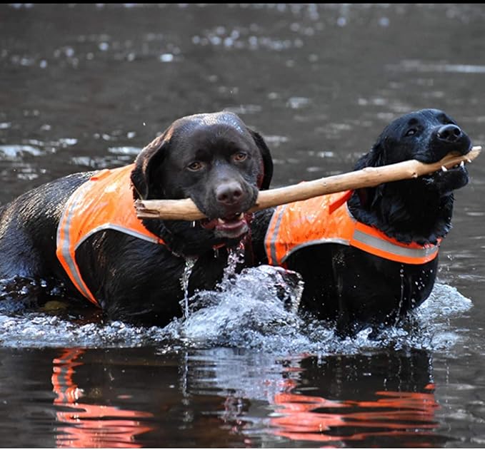 Lite Dog Vest. Coverage to Mid Back. Reflective Hi Visibility Blaze Orange Fluorescent Fabric Helps to Keep Them in Sight and Safe On and Off Leash.