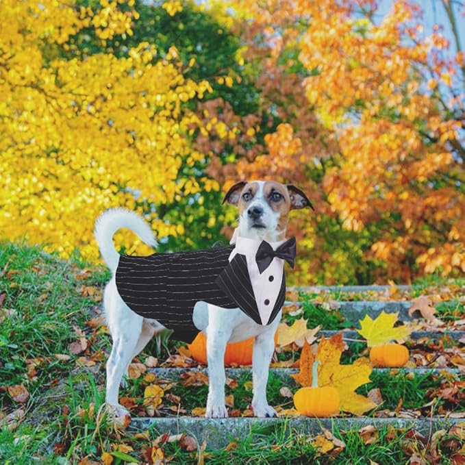 QBLEEV Tuxedo for Large Dogs, Suit and Bandana Set, Wedding Outfit With Bow Tie, Formal Tux Costume for Halloween Christmas Birthday Party Cosplay, Stripe L