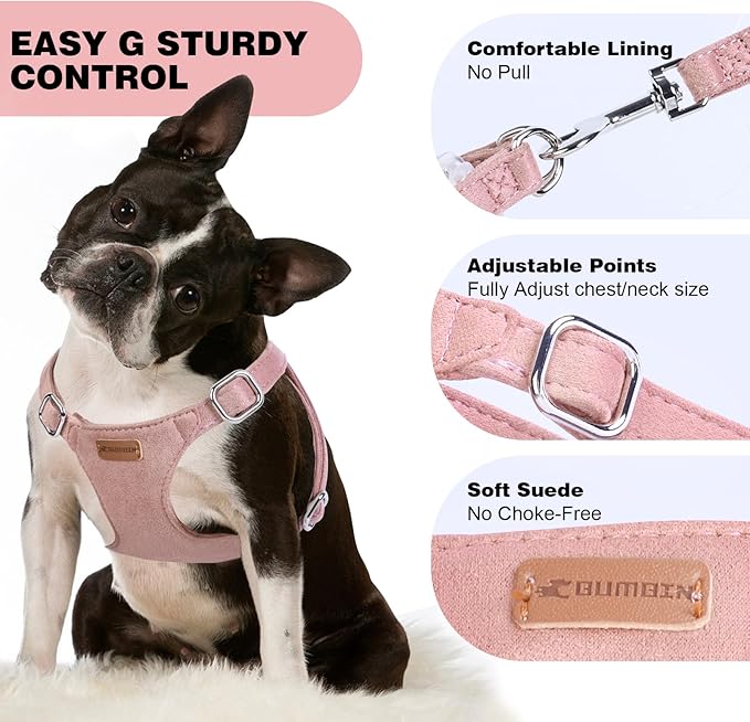 Dog Harness and Leash Set, XXS No Pull Adjustable Puppy Harness with Multifunction Pink Dog Leash and Dog Collar, Soft No Choke Escape Proof Pet Harness Vest for Small Dogs and Cats (Pink, M)