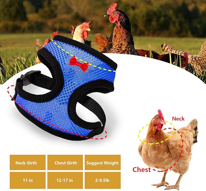 4 Pcs Funny Chicken Accessories - Comfortable Harness and Leash for Hens, Breathable Mesh