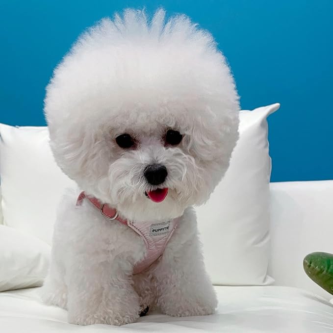 Puppytie No Pull Dog Harness with Multifunction Dog Leash,Soft Adjustable No Choke Escape Proof Pet Harness Vest for Medium Dogs,Glossy Pink,M