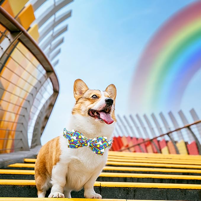 Lionheart glory Rainbow Dog Collar Colorful Dog Bow Collar Heavy Duty Adjustable Pride Dog Collar with Bowtie for Large Dogs Pet Gift
