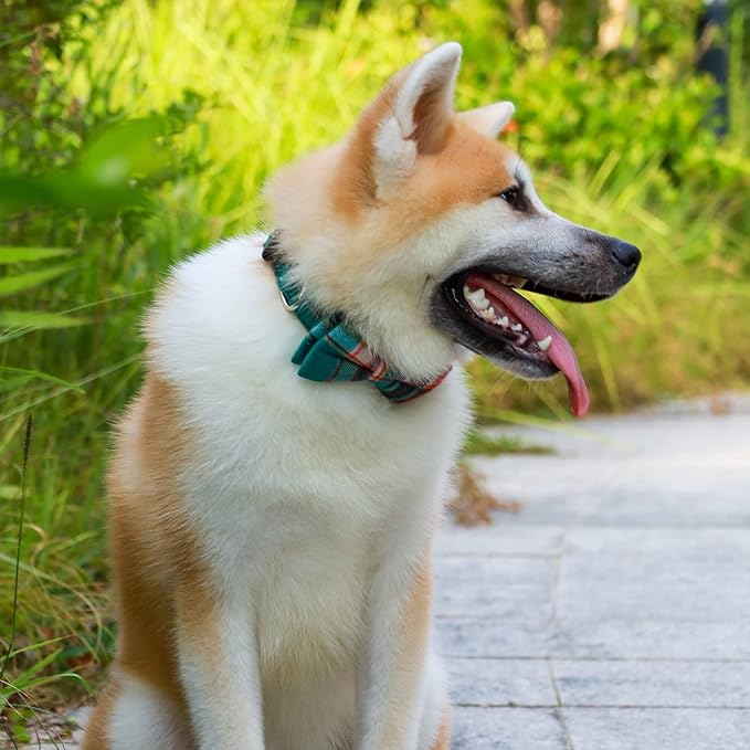 Faleela Cute Soft Girl Dog Collar with Bow, Bowtie Dog Collar for Boy,Detachable Adjustable Collar for Small Medium Large Pet