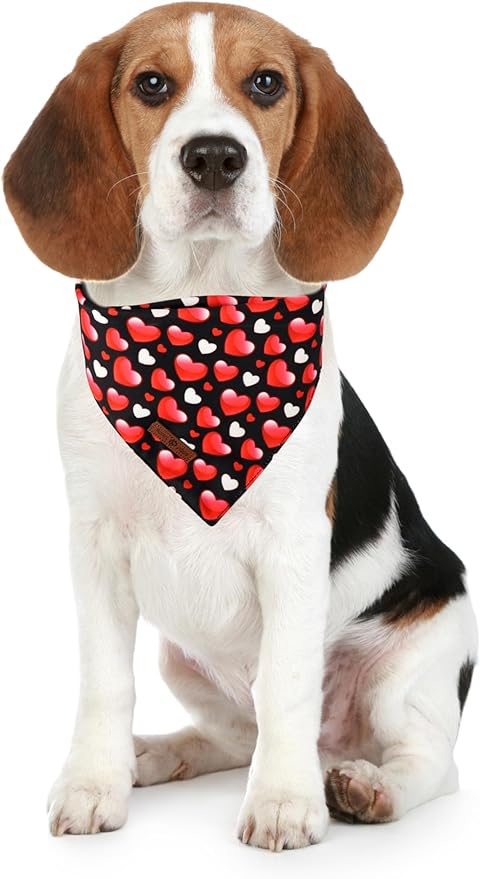 Lionet Paws Valentine's 2pcs Dog Bandanas, Black Heart & Colorful Heart Dog Scarf Bib Premium Fabric, Happy Valentine Love Bandanas for Small Medium Dogs Pets