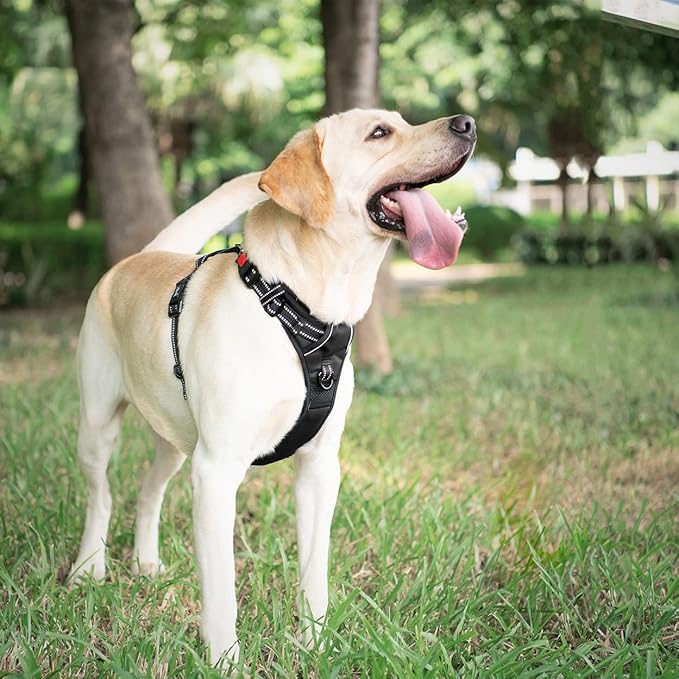 PoyPet Dog Harness No Pull, Reflective Vest Harness with Front & Back 2 Clips and Easy Control Handle for Small Medium Large Dog (XS, Black)