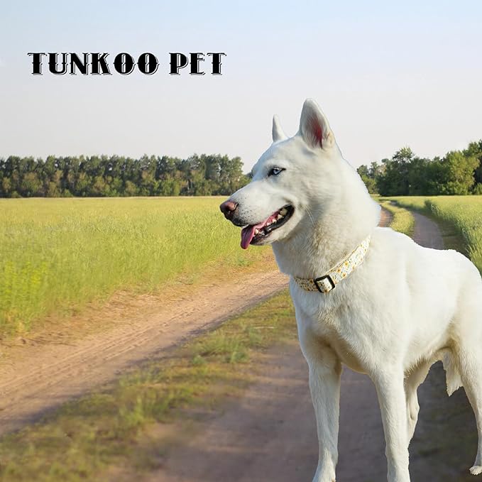 Tunkoo Daisy Flower Dog Collar, Cute Adjustable Floral Collar for Boy and Girl Dogs with Strong Plastic Buckle - for Small Medium Large Pets, M