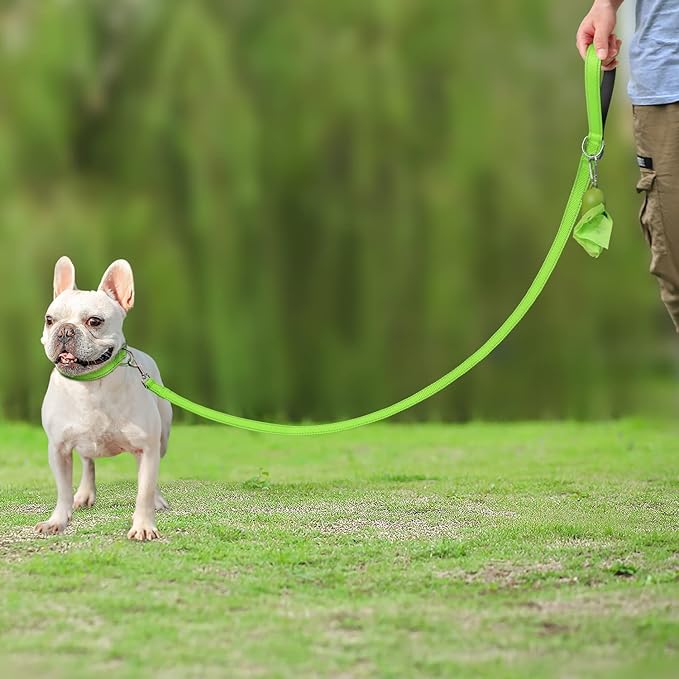 Joytale Double-Sided Reflective Dog Leash, 6 FT/5 FT/4 FT, Padded Handle Nylon Heavy Duty Leashes for Medium & Large Dogs Walking, Green, 6FT