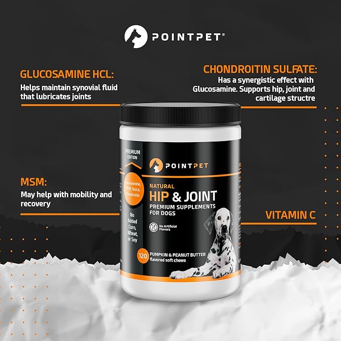 PointPet Glucosamine for Dogs, 120 Count - Peanut Butter & Pumpkin Flavor Hip and Joint Supplement - Mobility Soft Chews with Chondroitin & MSM with Omega 3