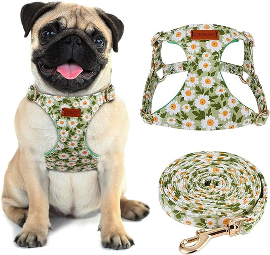 CHEDE Floral Pattern Dog Harness - Lightweight and Soft, Adjustable for Small & Medium Dogs, Includes Leash - Green Daisy